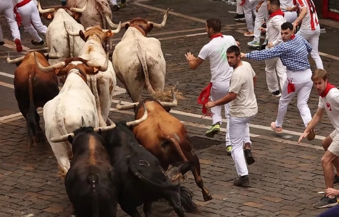 'La Palmosilla, fiel a su estilo: nobleza, rapidez y emoción'