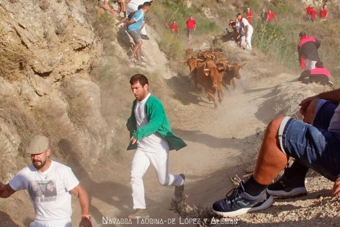 Emocionante y vistoso 5° Pilón de Falces, donde una vaca ha sido rescatada