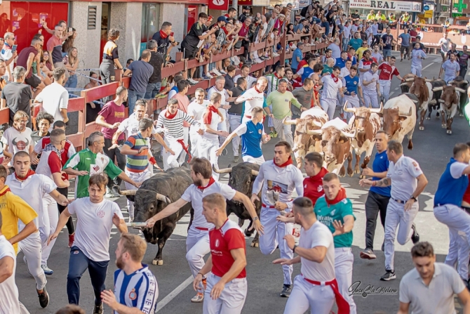 'Velocísimo y curioso segundo encierro, de Carmen Valiente, con tres toros negándose a entrar'