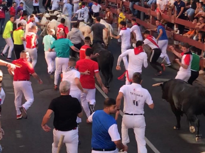 'Baile de carreras con una coreografía casi perfecta en el cuarto encierro de Sanse'