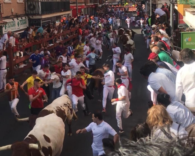 'El convoy en reserva de Zalduendo deja preciosas carreras en el 5º encierro de Sanse'