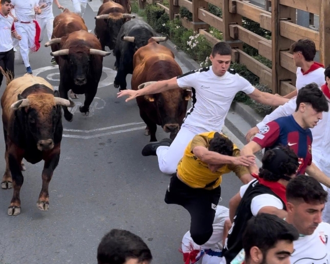 'Seis toros en solitario en un precioso segundo encierro de Ustarroz'