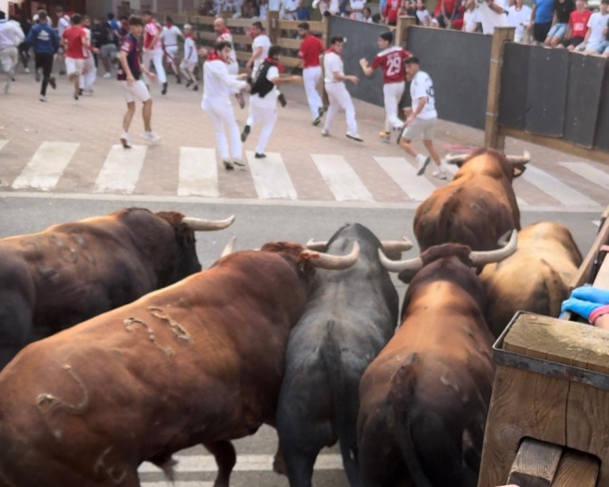 'Seis toros en solitario en un precioso segundo encierro de Ustarroz'