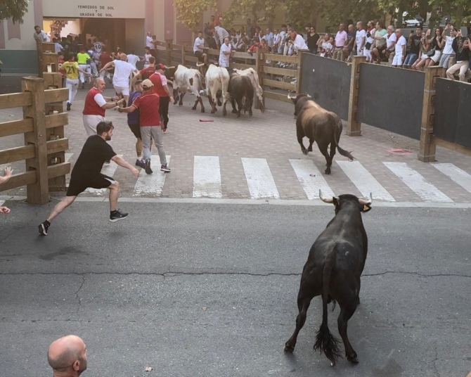 'Lento tercer encierro con toros maños de Cuartero'