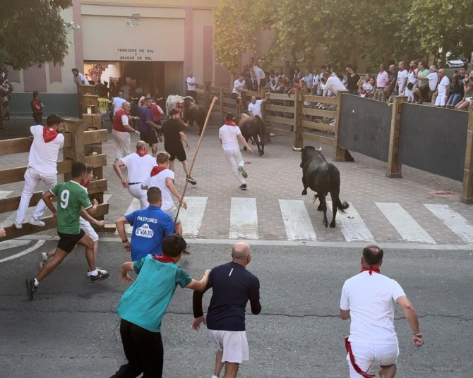 'Lento tercer encierro con toros maños de Cuartero'