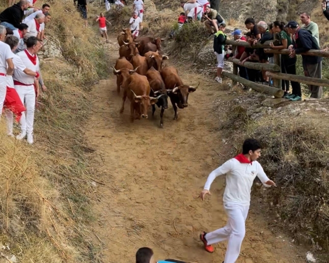 'Velocidad y nobleza de las guipuzcoanas vacas de Lastur en un vistoso cuarto Pilón'