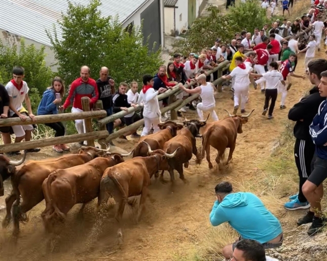 'Velocidad y nobleza de las guipuzcoanas vacas de Lastur en un vistoso cuarto Pilón'