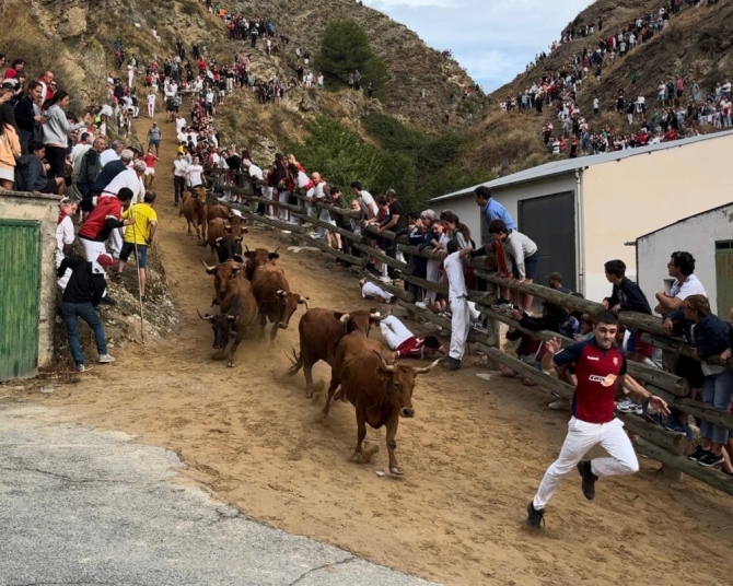 'Velocidad y nobleza de las guipuzcoanas vacas de Lastur en un vistoso cuarto Pilón'