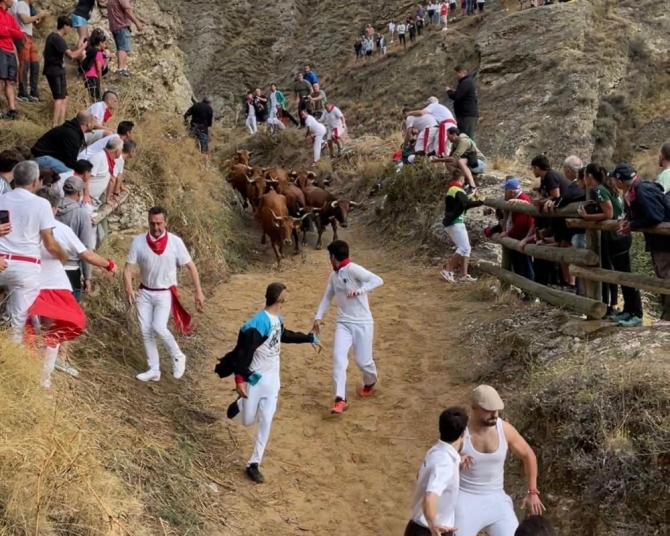 'Velocidad y nobleza de las guipuzcoanas vacas de Lastur en un vistoso cuarto Pilón'