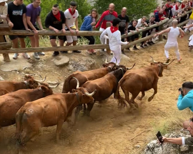 'Velocidad y nobleza de las guipuzcoanas vacas de Lastur en un vistoso cuarto Pilón'