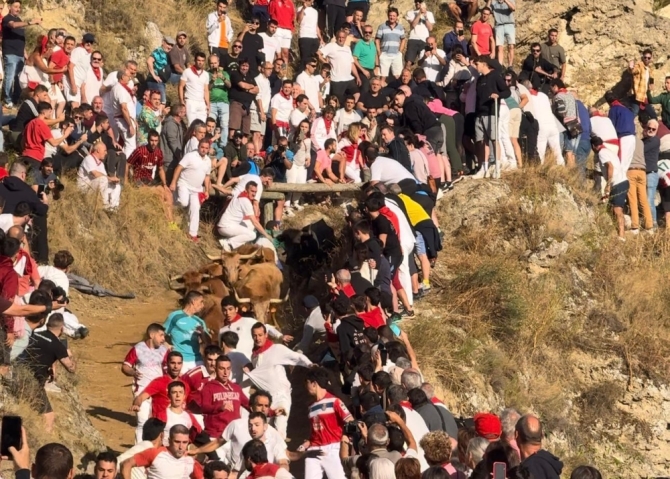 'Quinto Pilón: las vacas de Eulogio Mateo vuelan el día de la Virgen de agosto'