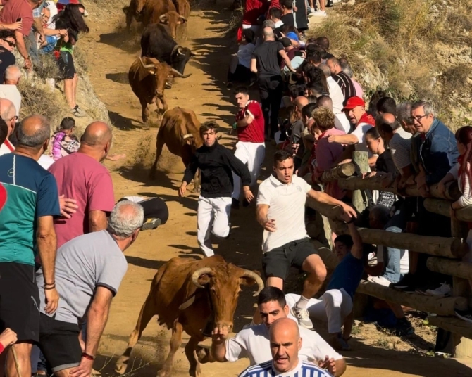 'Una vaca de Hípica Zahorí pone emoción en el trepidante sexto Pilón de Falces'