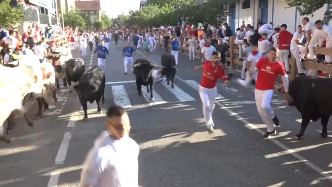 'Los toros de rejones de Rosa Rodríguez emocionan en las calles de Tafalla: toro vuelto en el segundo encierro'