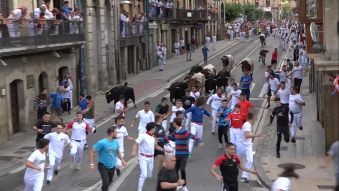 'Los toros navarros de Pincha ofrecen un encierro vibrante y muy bonito en el cuarto encierro de Tafalla'