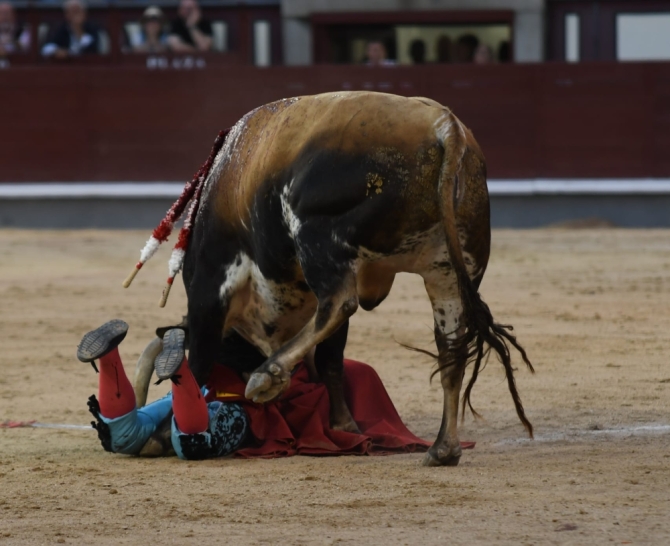 'Miguel de Pablo puntúa en un descafeinado desafío'