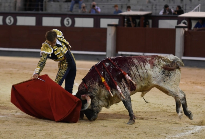 'Miguel de Pablo puntúa en un descafeinado desafío'