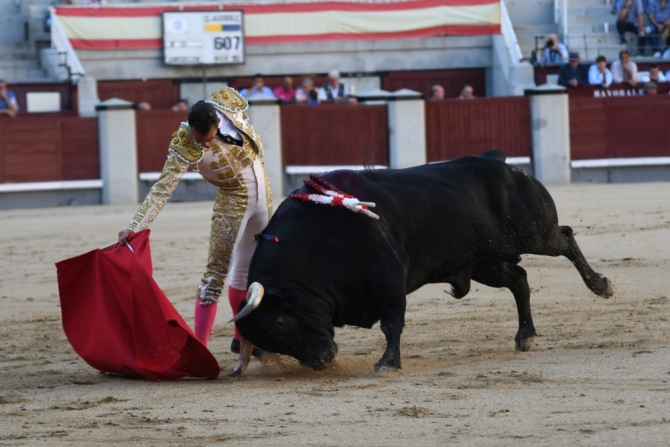 'Miguel de Pablo puntúa en un descafeinado desafío'