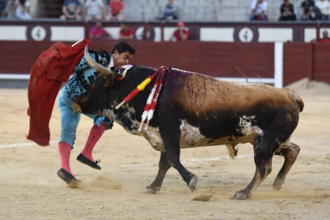 'Miguel de Pablo puntúa en un descafeinado desafío'