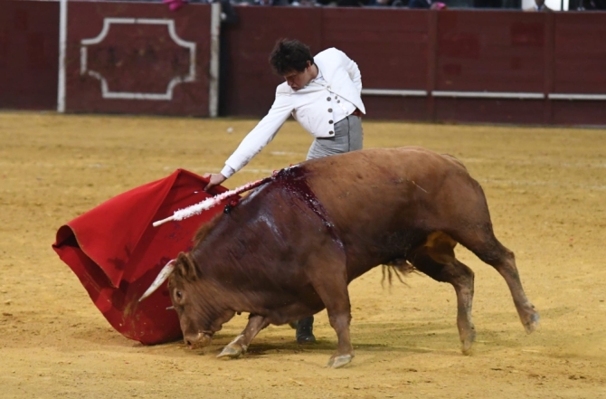 Olga Casado, protagonista del festival por la DANA en Vistalegre 