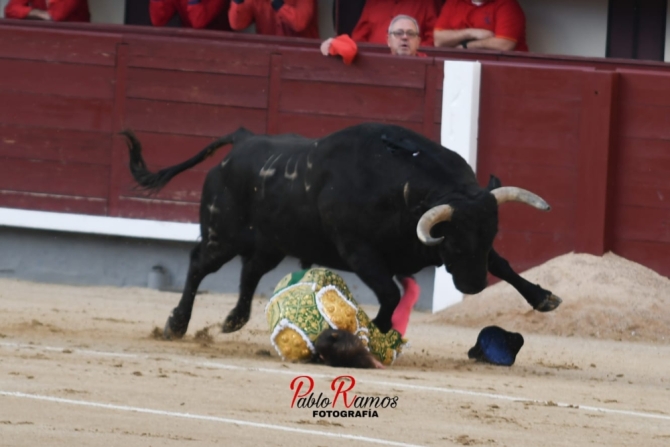 La tarde encastada de Palha por Resurrección, en imágenes 
