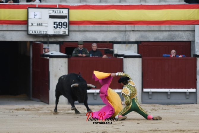 La tarde encastada de Palha por Resurrección, en imágenes 