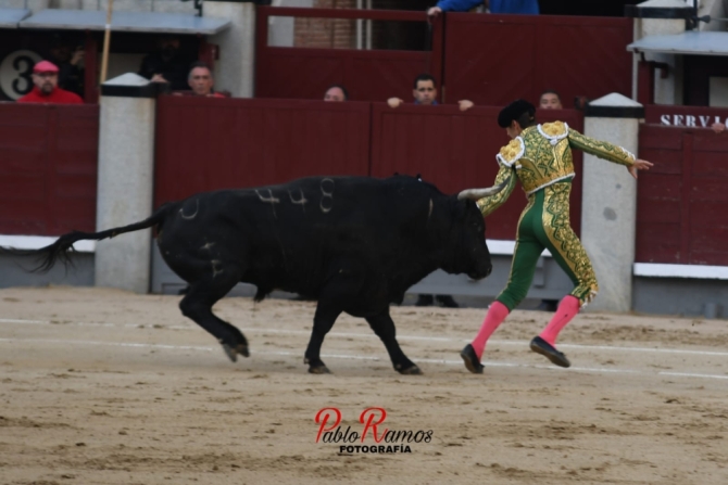 La tarde encastada de Palha por Resurrección, en imágenes 