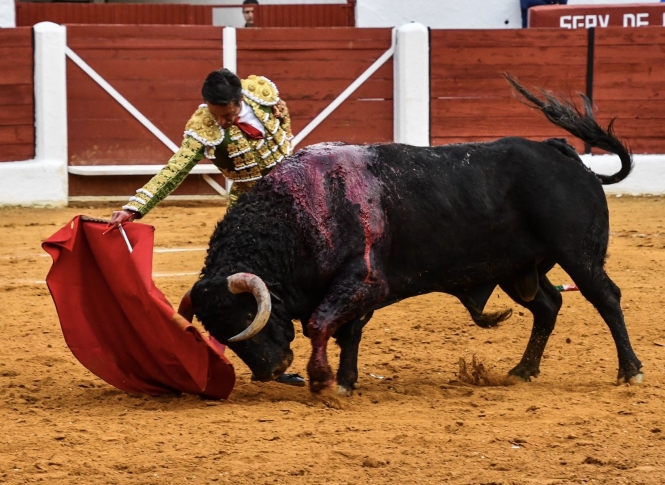 Emilio de Justo, el ojo providente del escalafón